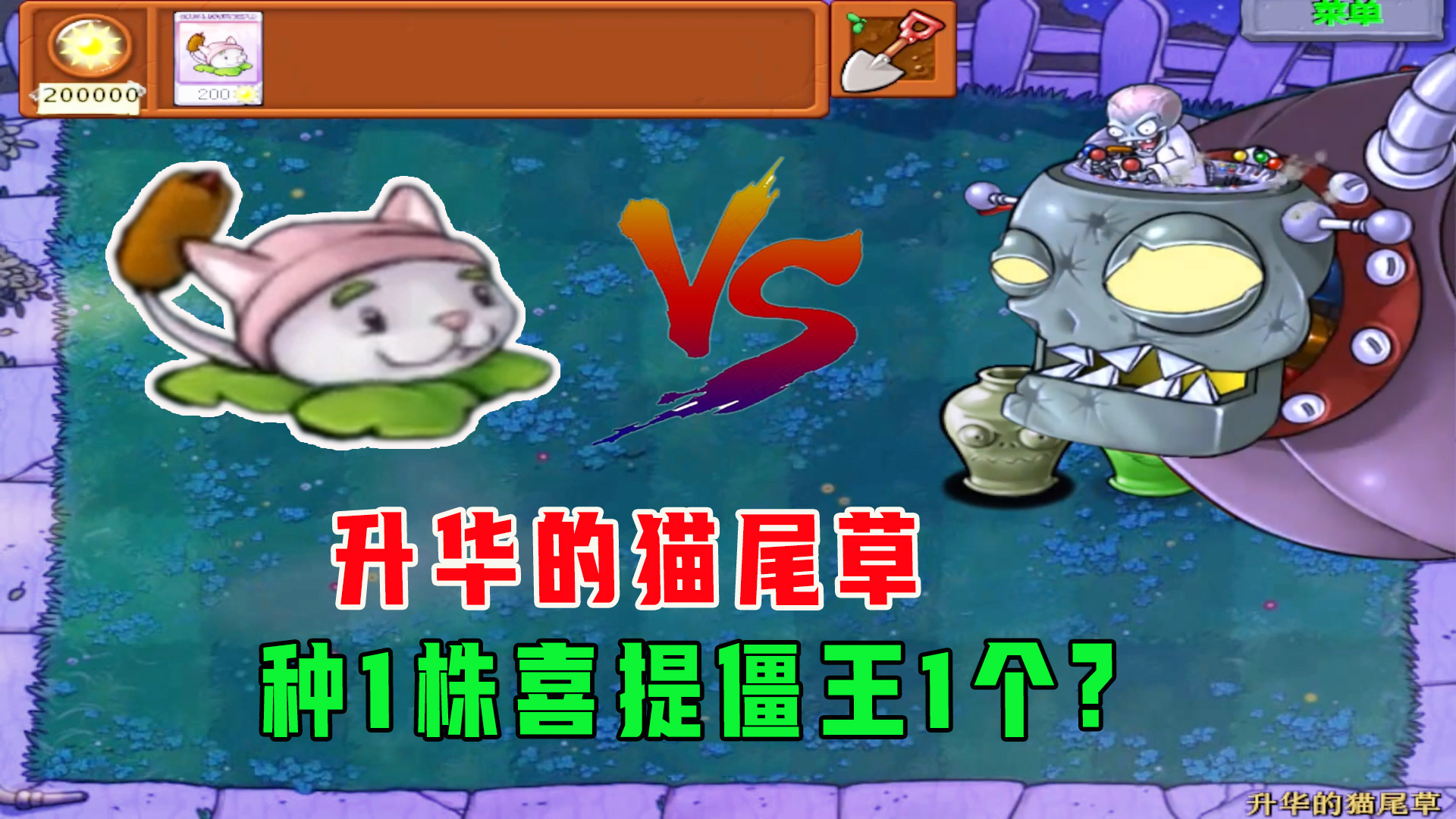 植物大战僵尸：升华的猫尾草！就是每种一株喜提僵王一个？#植物大战僵尸#单机游戏