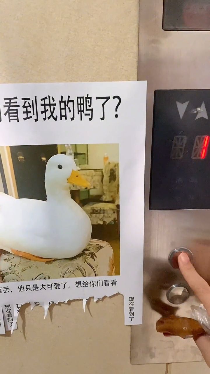 我真的不是故意全撕下来的