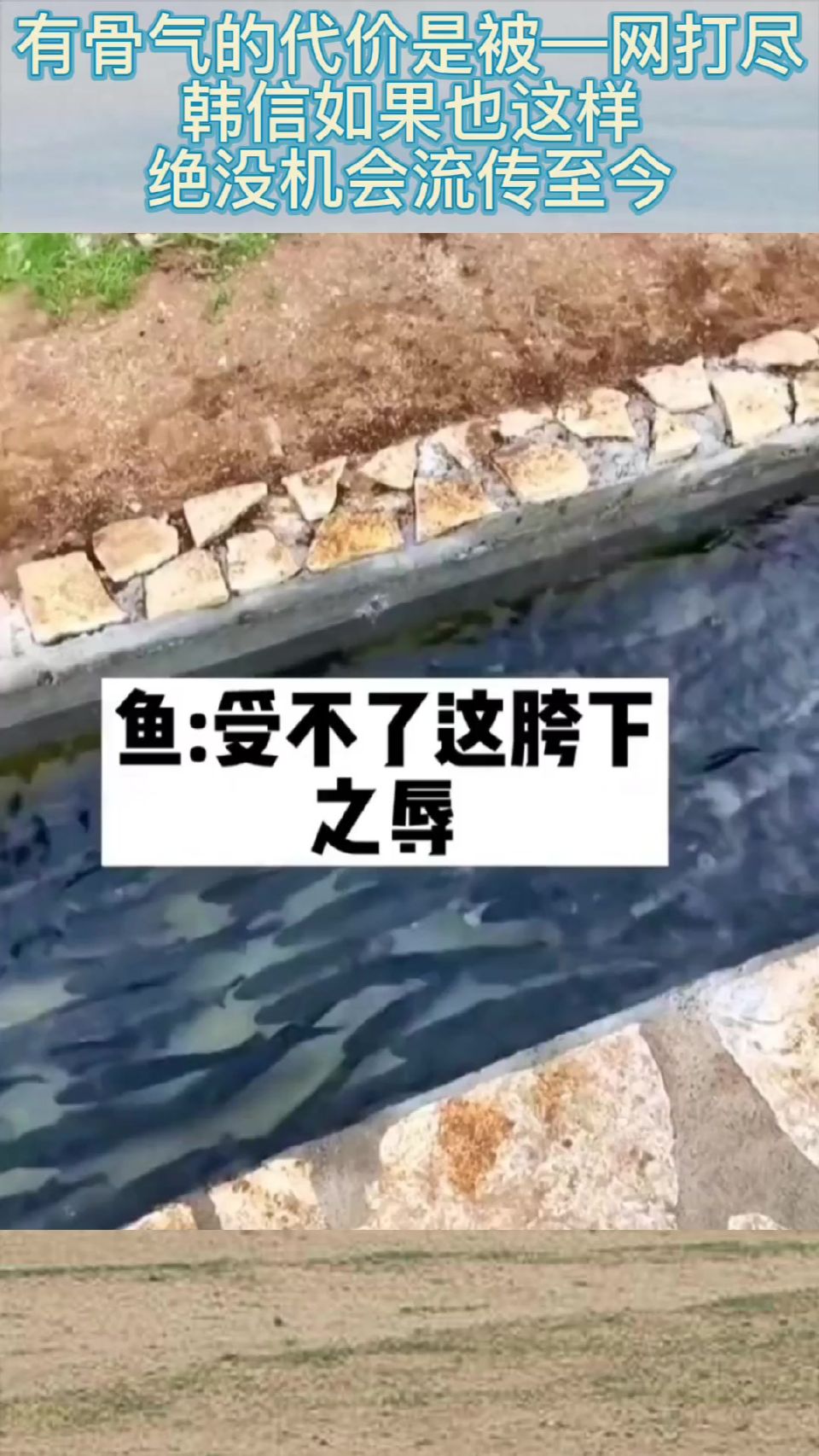 有骨气的代价是被—网打尽，韩信如果也这样，绝没机会流传至今