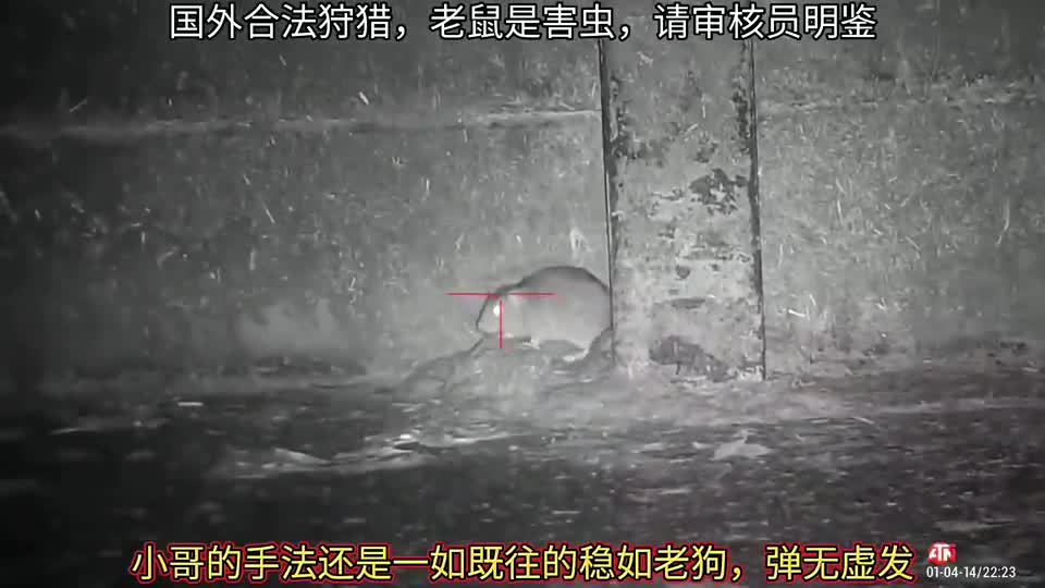 狙神小哥又来帮农场主清理鼠害了，百发百中这马内花得太值了！