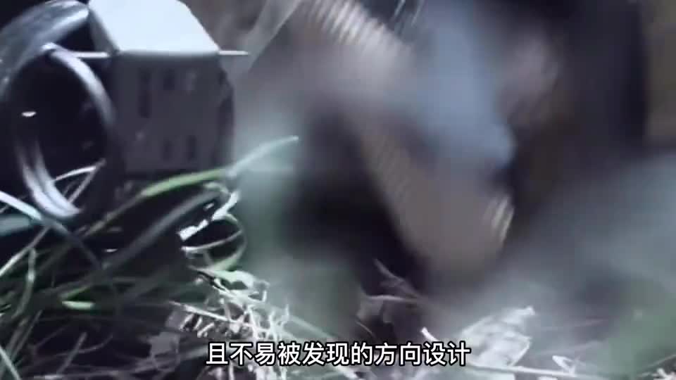 踩到地雷，不动就不会炸吗