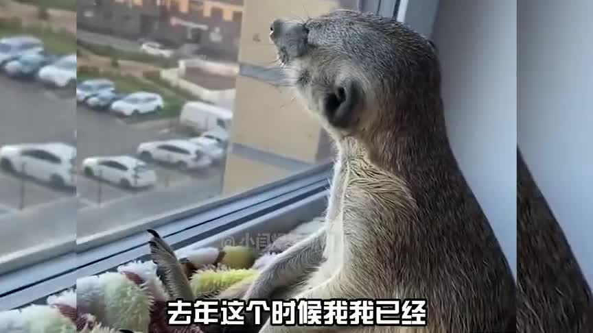 又到年底了，今年你攒了多少钱？