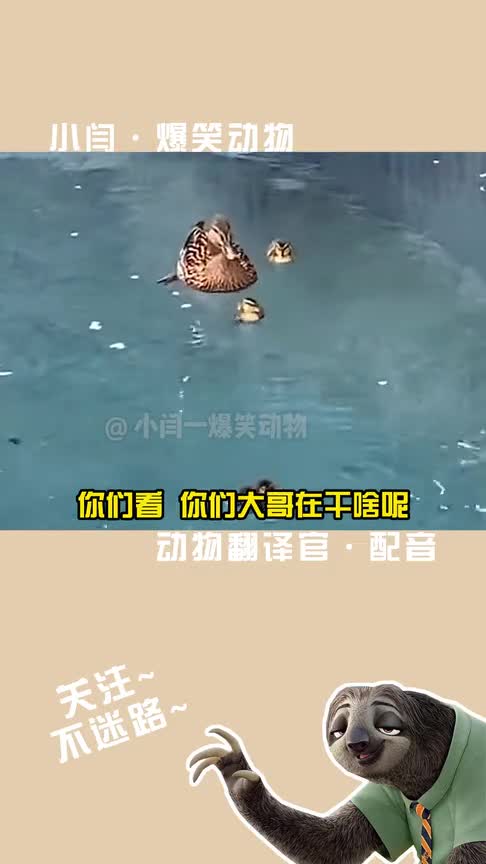 旋转跳跃，我闭着眼