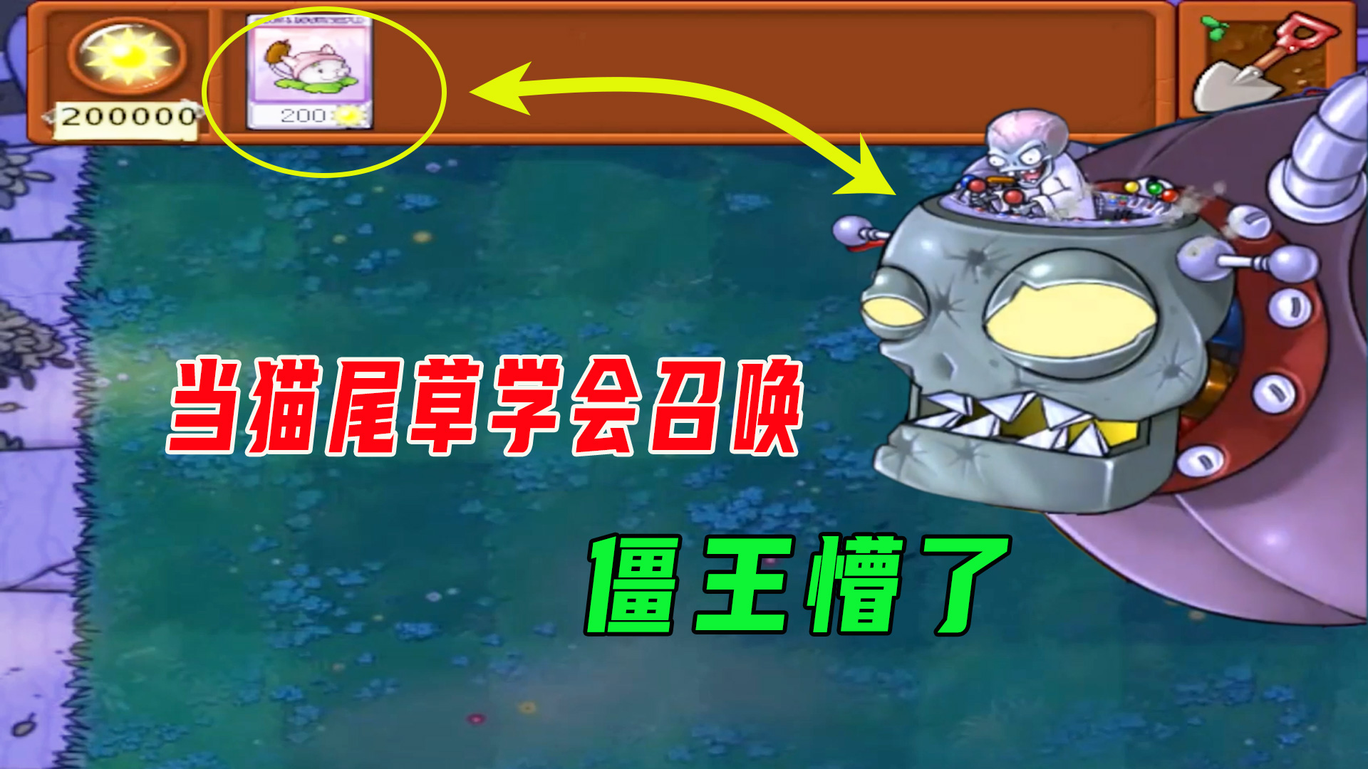 植物大战僵尸：当猫尾草学会召唤？僵王：你还是换个别的召唤吧#植物大战僵尸#单机游戏