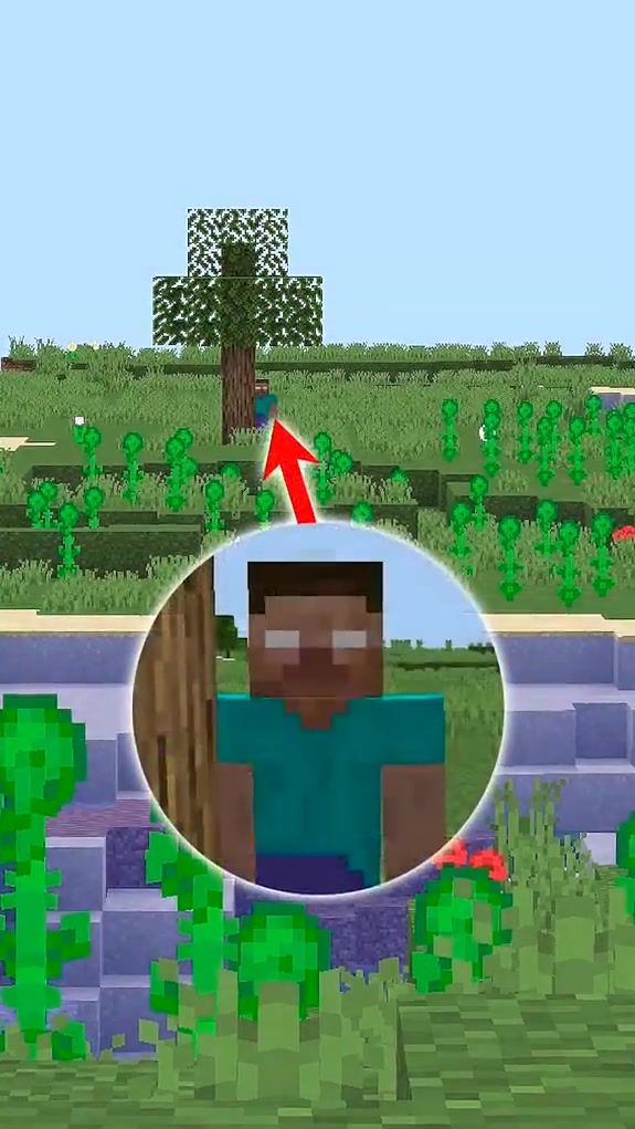 我的世界：标题不会起，粉丝们凑合着看吧