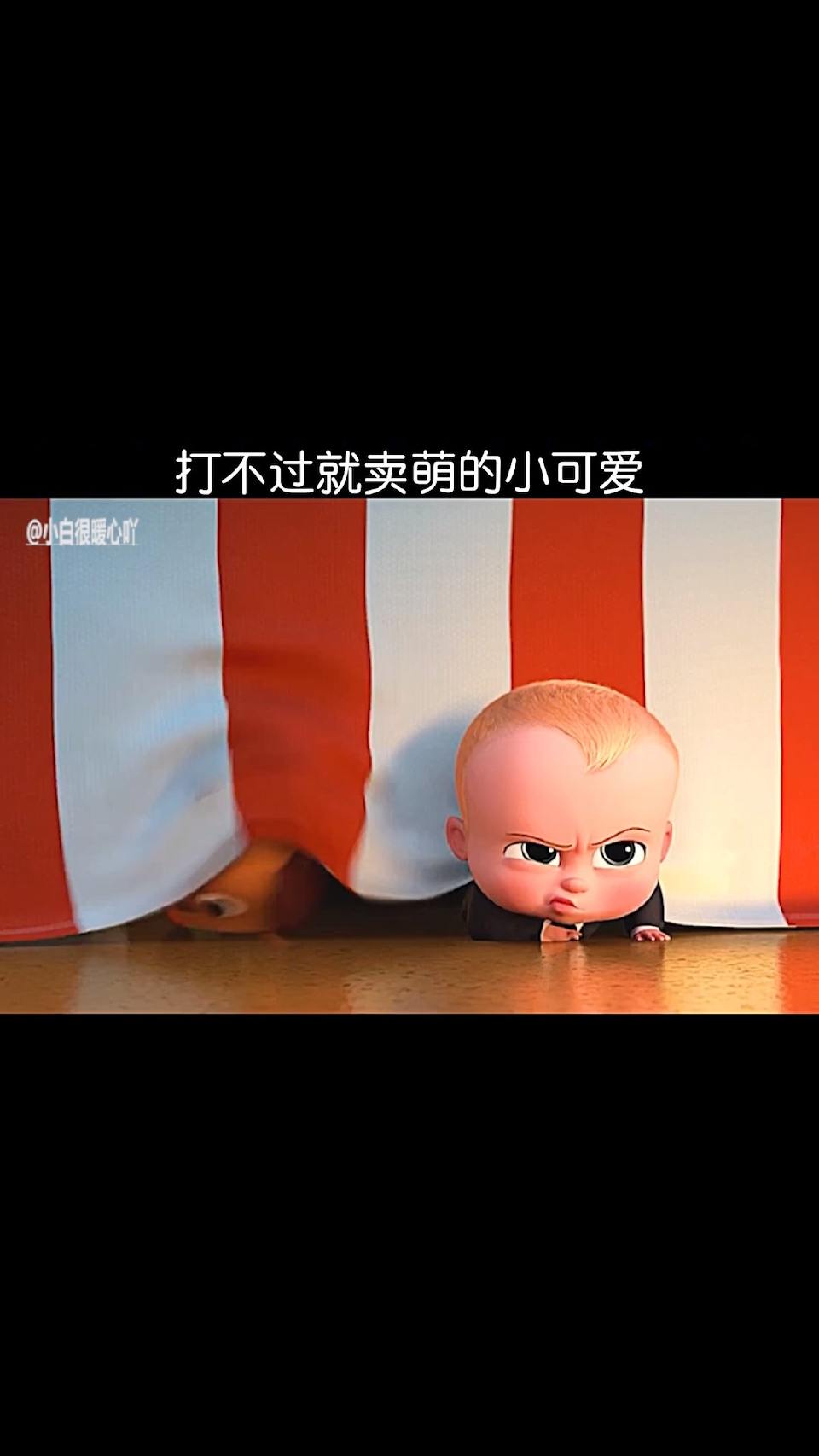 打不过就卖萌的小可爱
