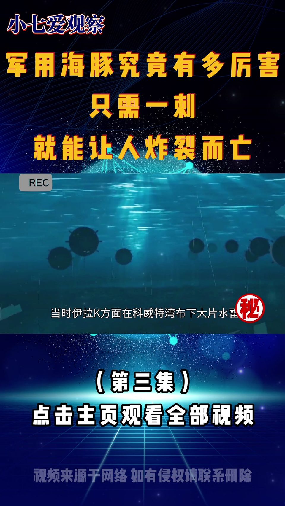 军用海豚究竟有多厉害？只需一刺，就能让人炸裂而亡！