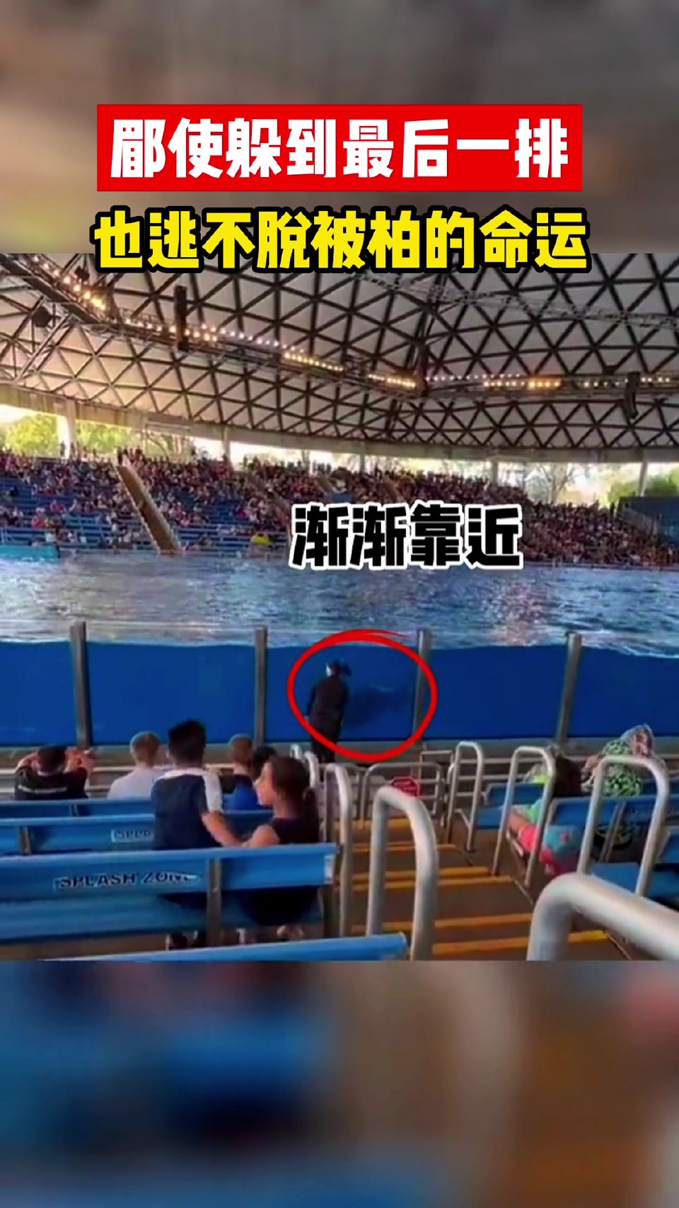 即使躲到了最后一排，也逃不过被拍的命运……