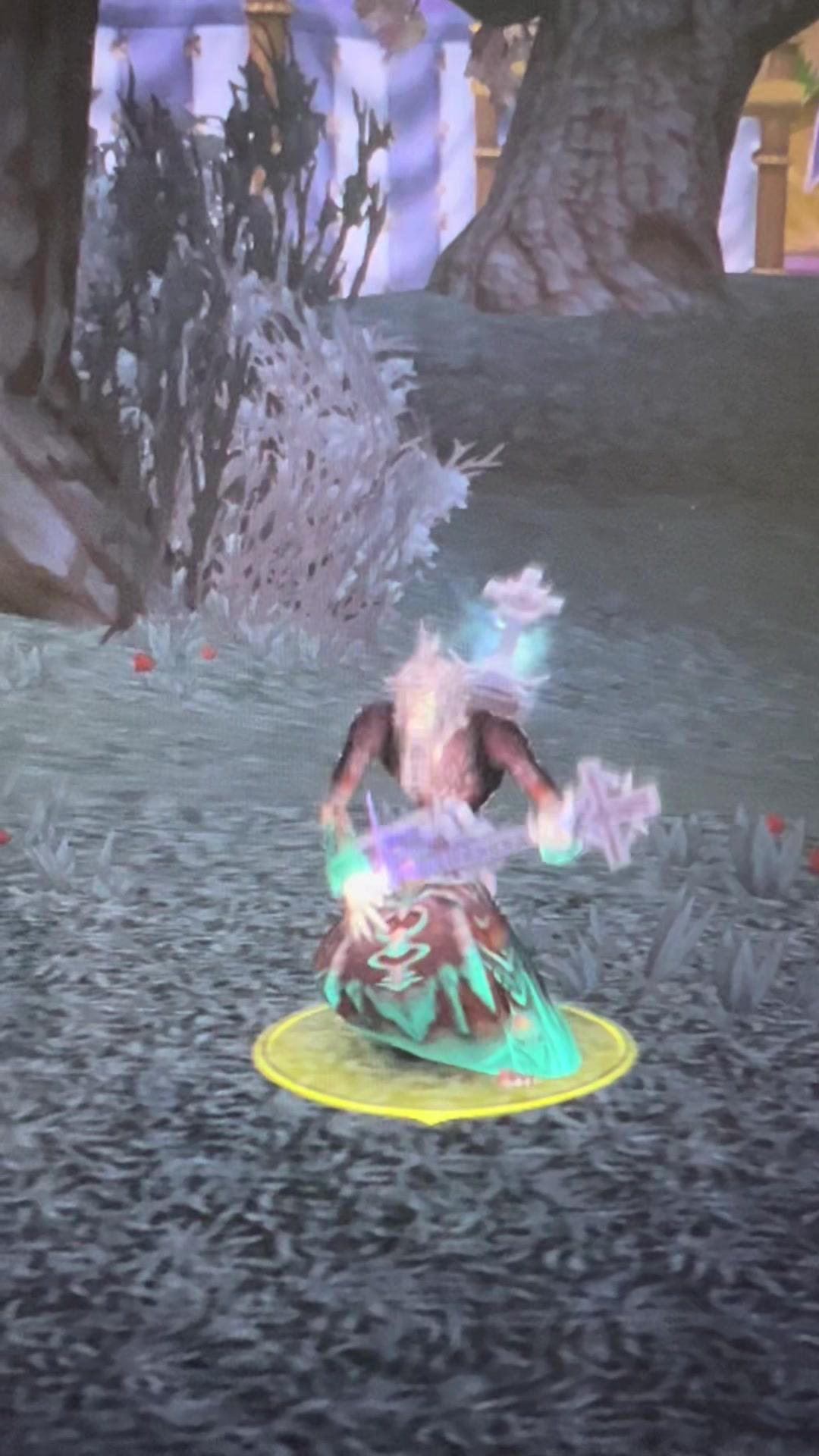 #魔兽世界 #魔兽世界幻化 #暗月马戏团 毕业咯！