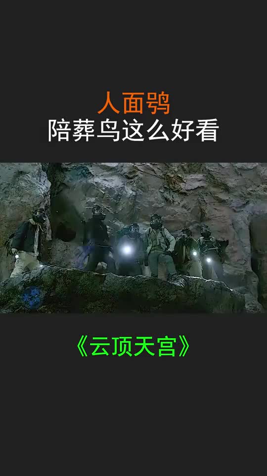 人面，陪葬鸟这么好看