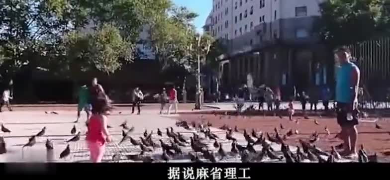 韦东奕数学知识面多恐怖？解答中国微积分对答如流，不愧是韦神！