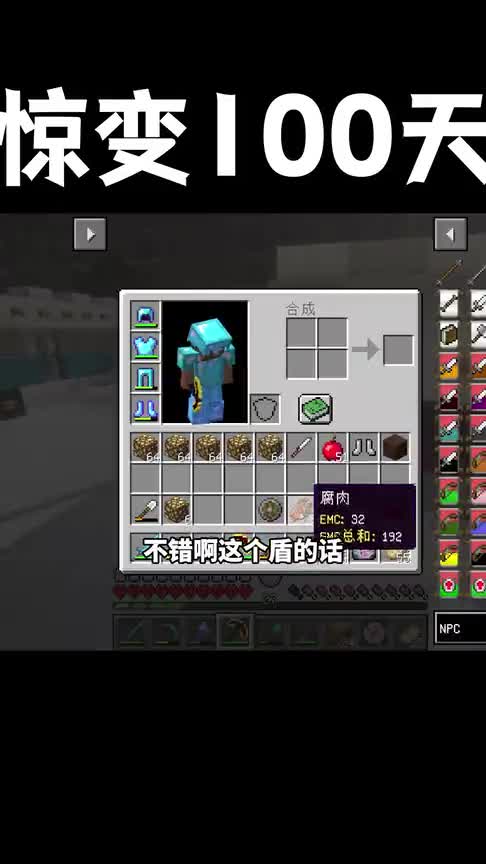 我的世界惊变100天极寒生存44