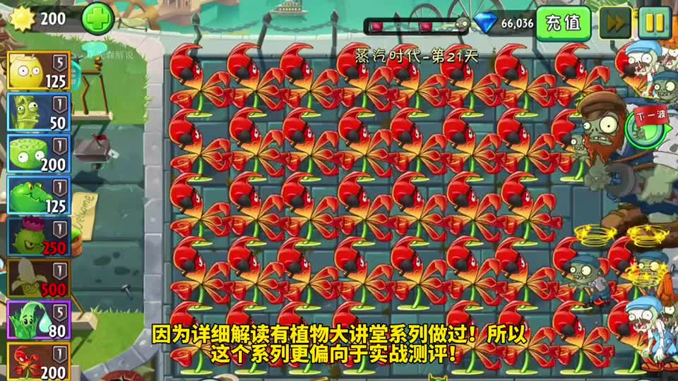 1\-5阶钩爪嘉兰测评：真实神一般存在的植物！不好评价～