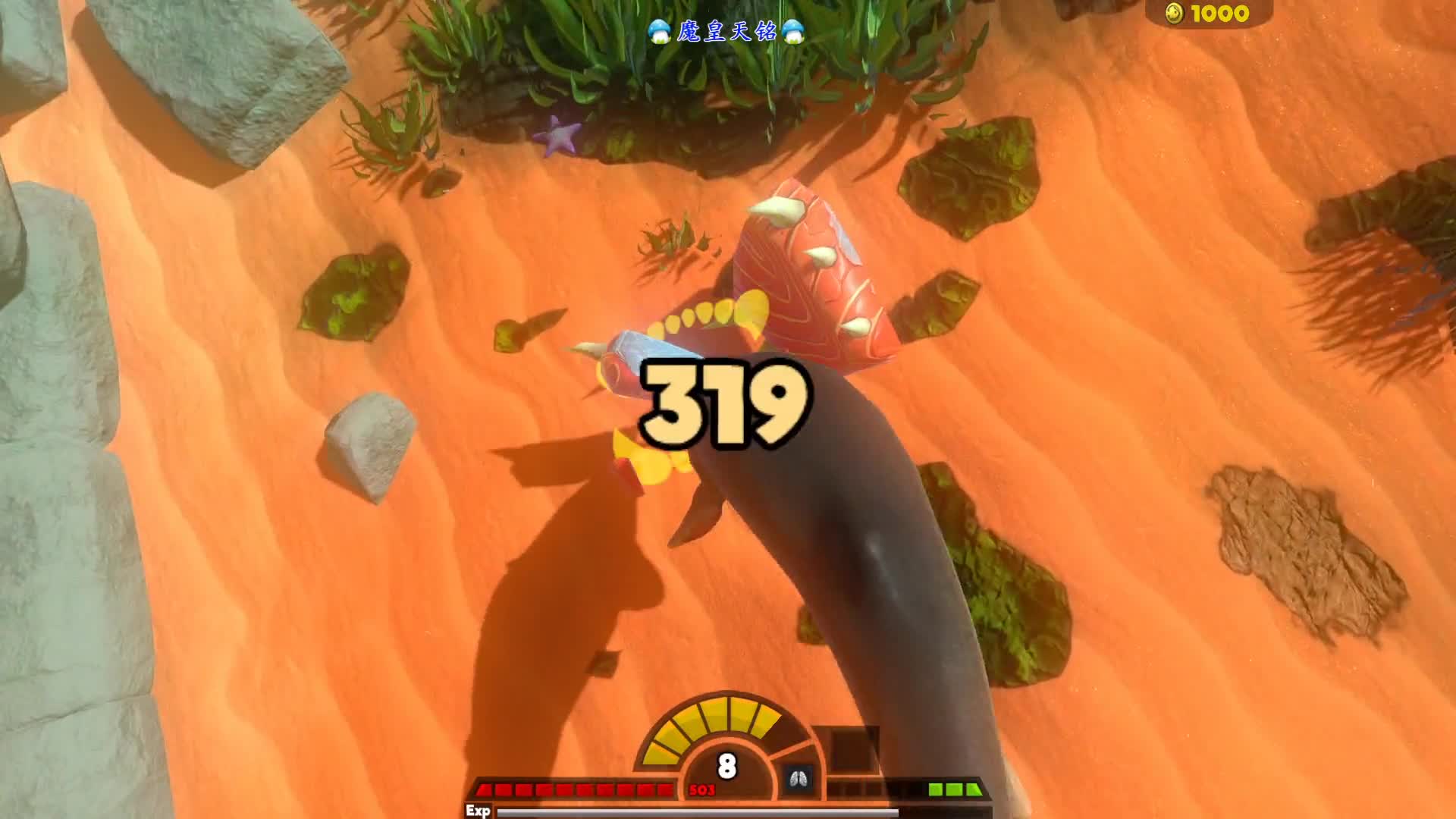 天铭 海底大猎杀 第三季 150 芝士鲸肉火腿，矛齿鲸：叫我靓仔！