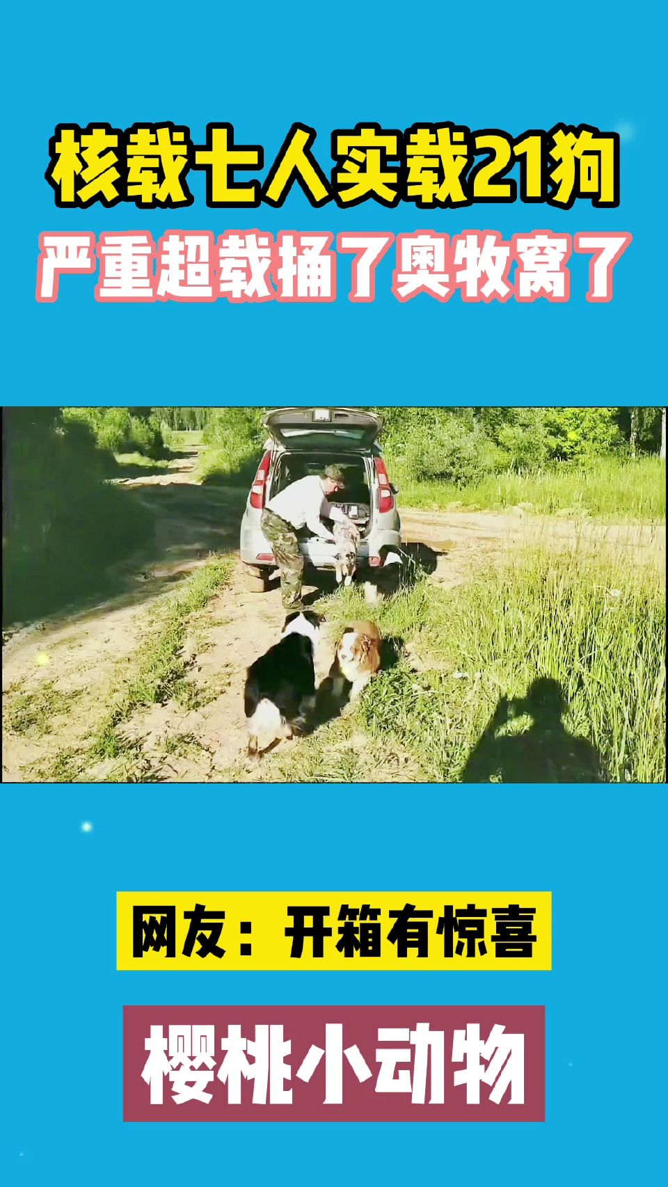 核载七人实载21狗，严重超载捅了奥牧窝了，开箱有惊喜