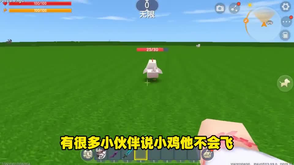迷你世界：小鸡的“隐藏技能”它们遇到危险，会应激在高空飞行