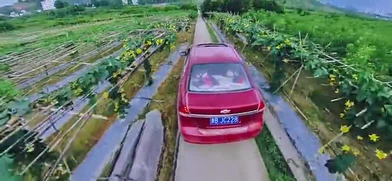 本期视频在路上面技术下期视频想要看什么在评论留言