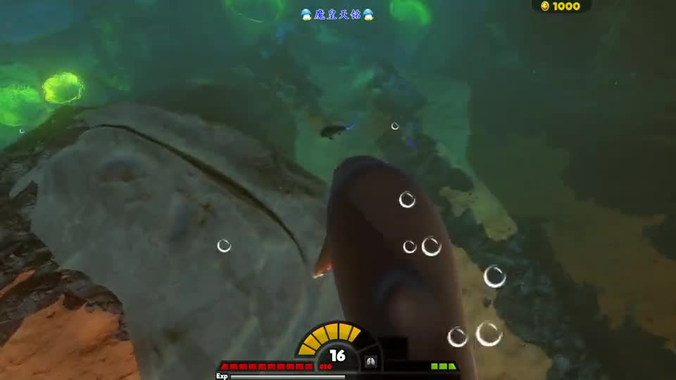 天铭 海底大猎杀 第三季 150 芝士鲸肉火腿，矛齿鲸：叫我靓仔！