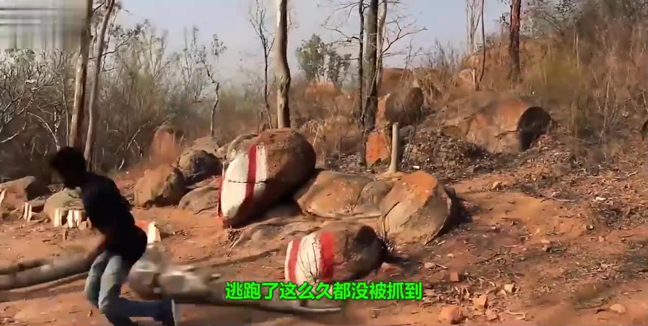 老外化身马里奥，踩着极速滑板和Boss决斗，全程简直不要太精彩！