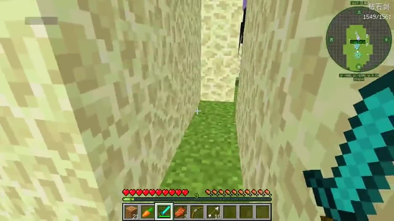 我的世界：双人挑战末地迷宫对战末影人？