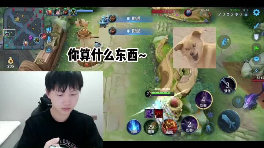 净化游戏环境从我做起