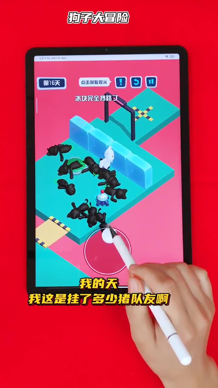 狗子大冒险！别人坑队友，我坑我自己