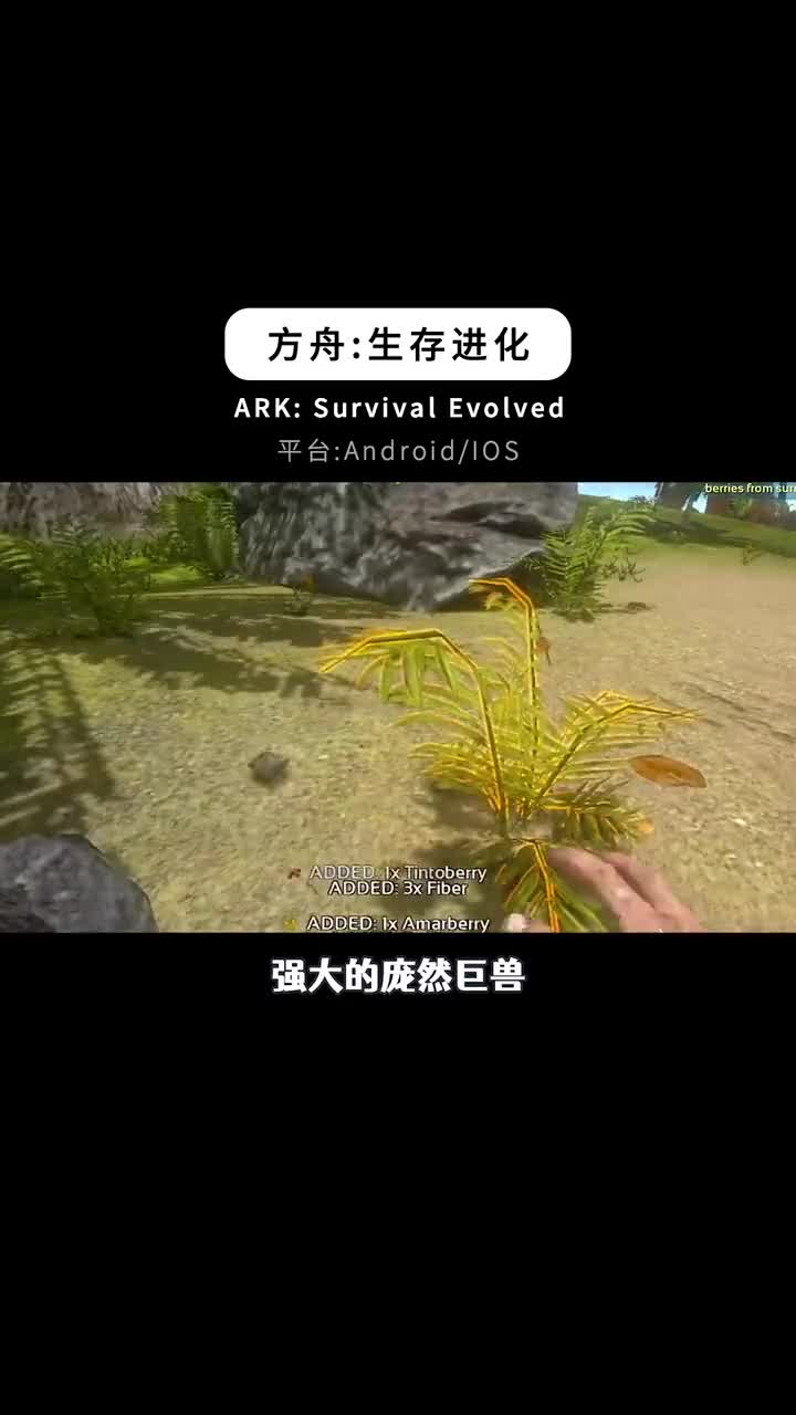好玩到炸裂的精品手机游戏44