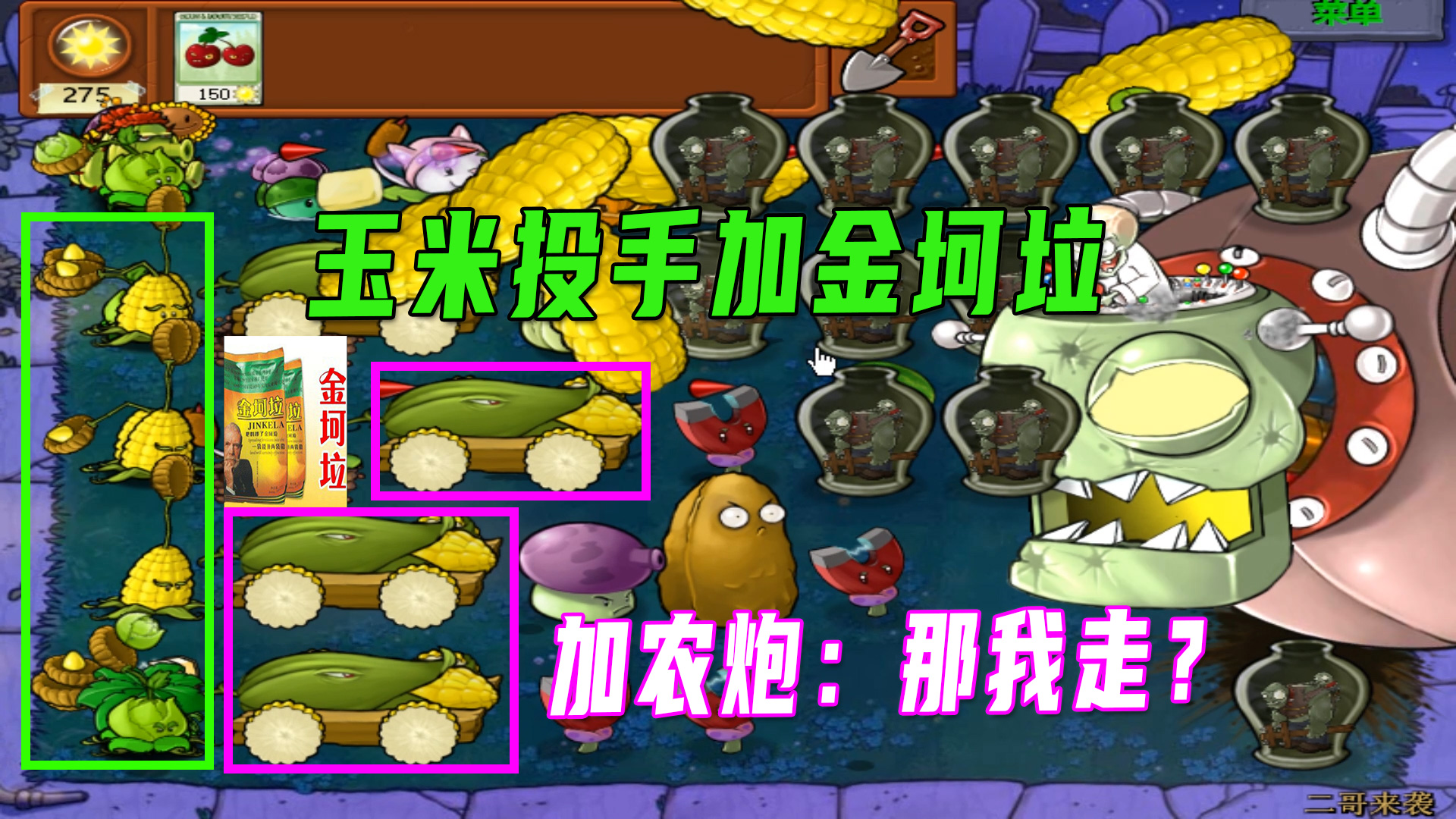 植物大战僵尸：小猫干不过便签，只能找来金坷垃帮忙#植物大战僵尸