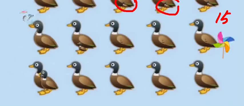 考眼力：图中一共有几只鸭子，粗心的人只看见20只，天才看见30只
