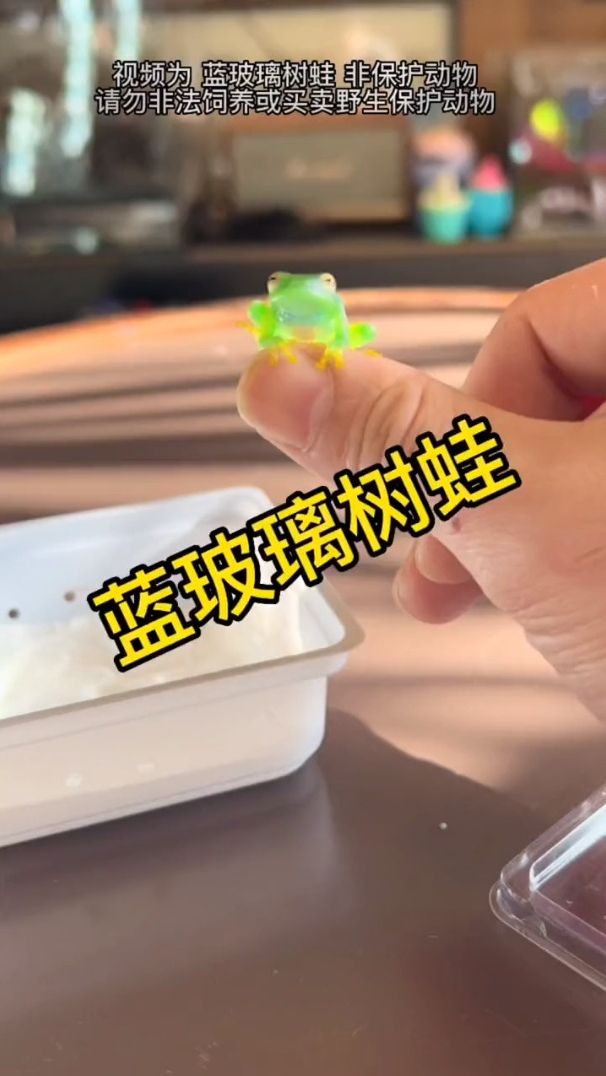 妙蛙种子上线了~牙