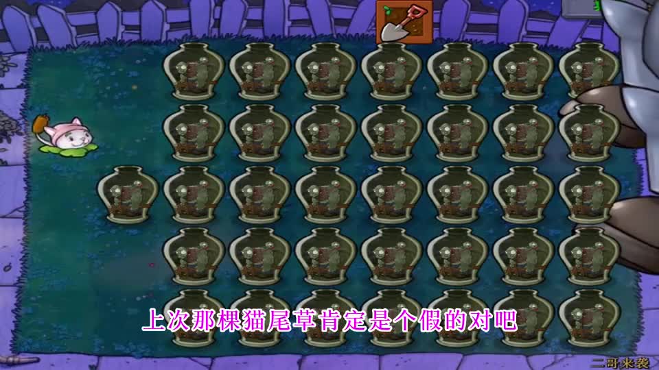 植物大战僵尸：小猫干不过便签，只能找来金坷垃帮忙