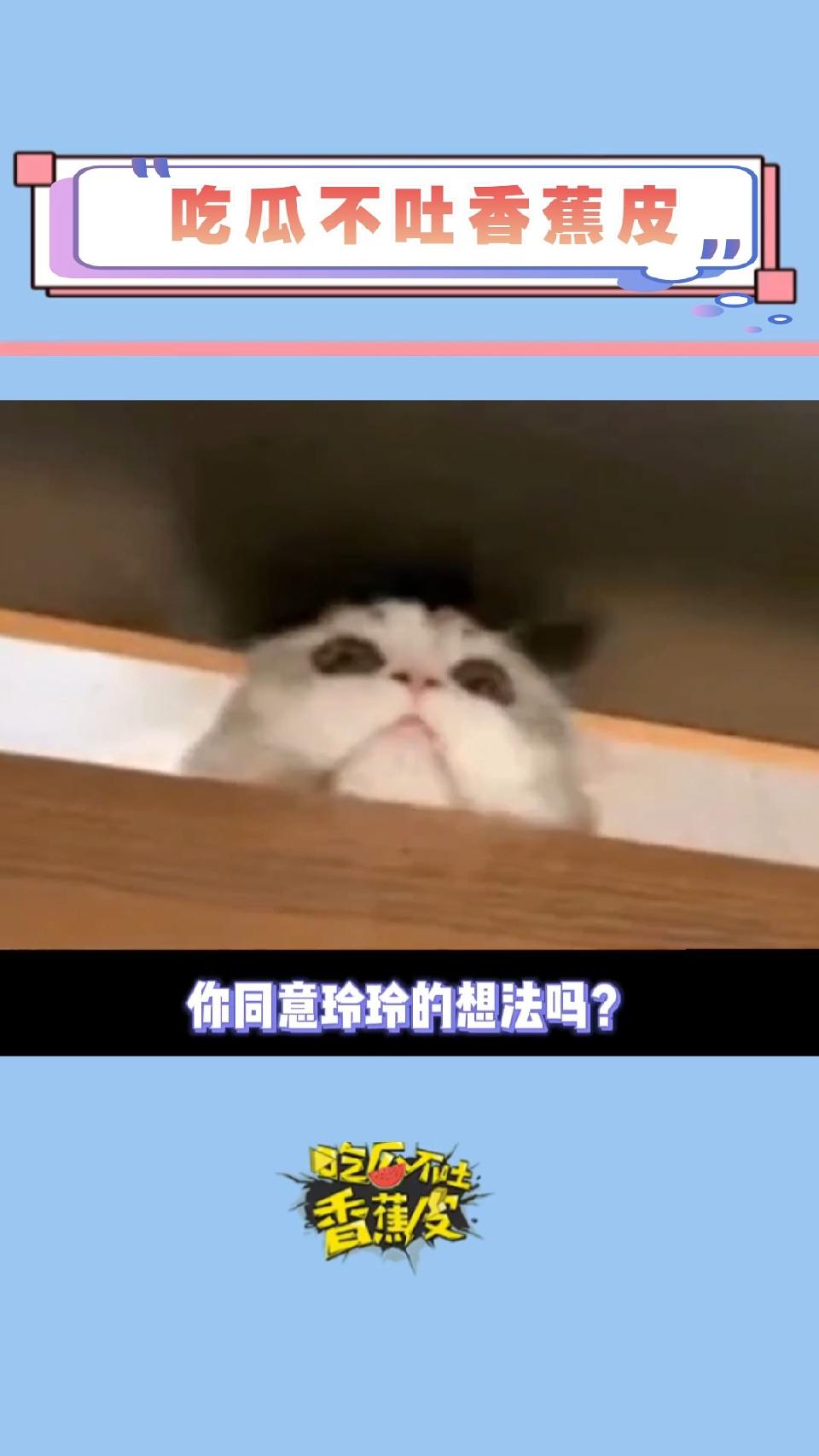 凭啥给人减2分，我也支持玲玲