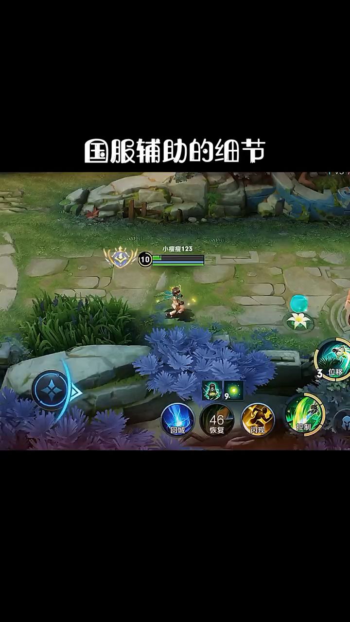 国服辅助的细节