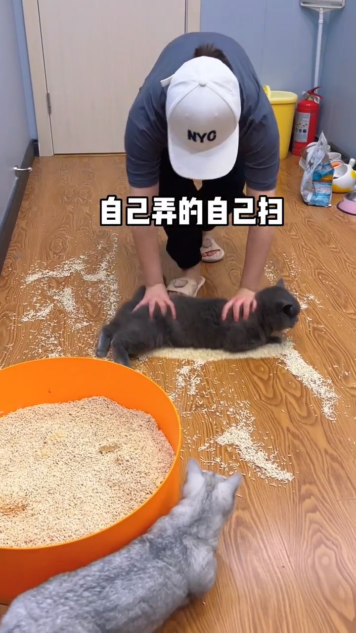 自作自受三部曲