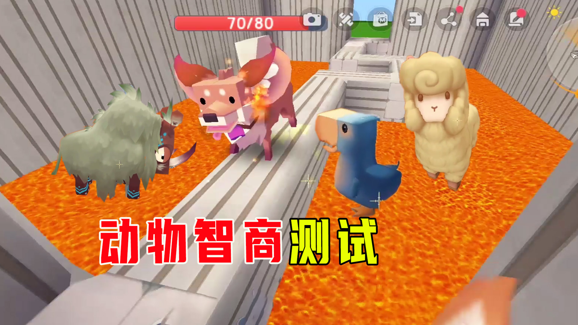迷你世界：动物智商测试，羊驼最聪明，嘟嘟鸟最胆子，谁最笨呢？#迷你世界#沙盒游戏