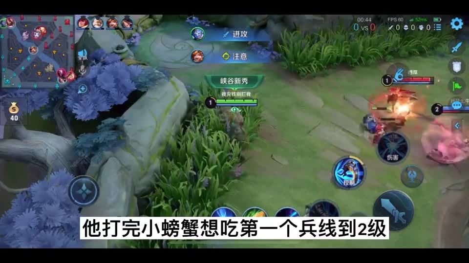 一只从开局到结束都没见过红蓝野的猴子