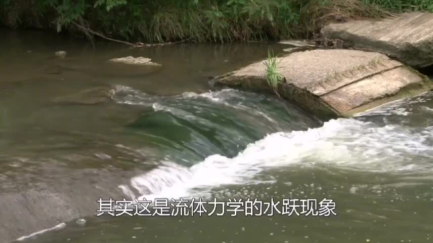 在河流中强行建座水坝会怎样？用模型模拟有趣的事情发生了，你学到了么？