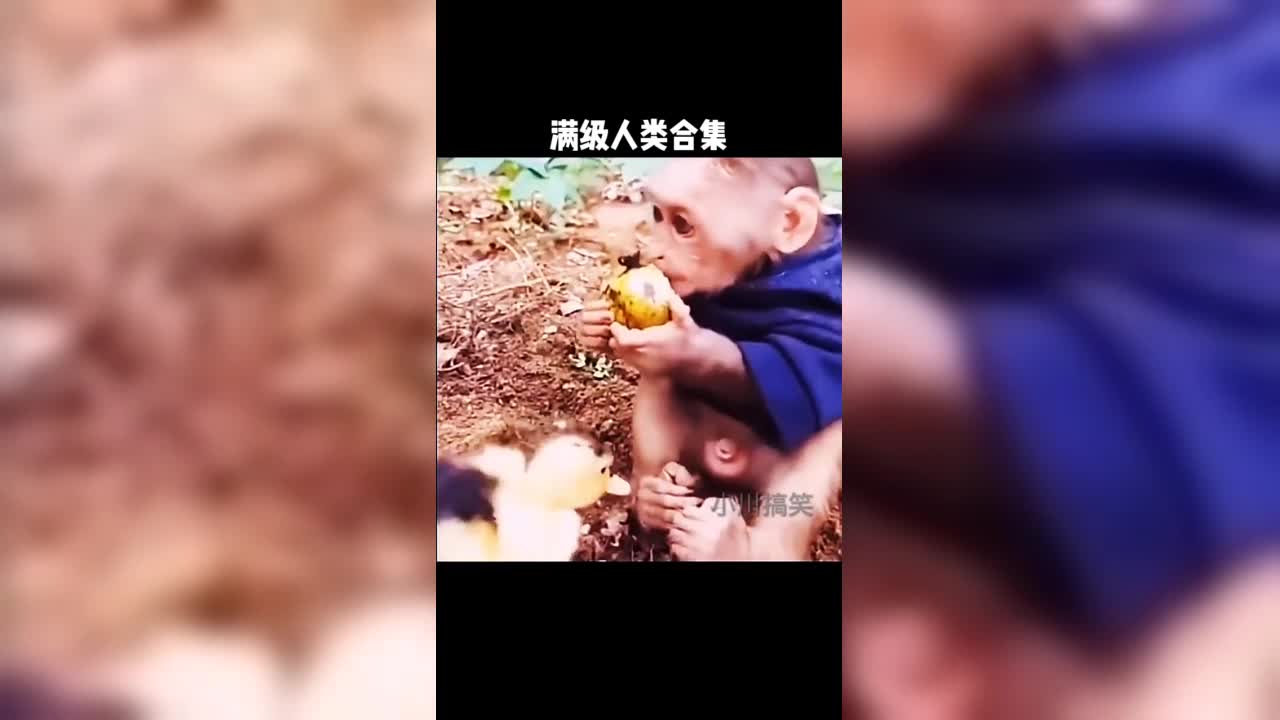 送个美团也是下了功夫了