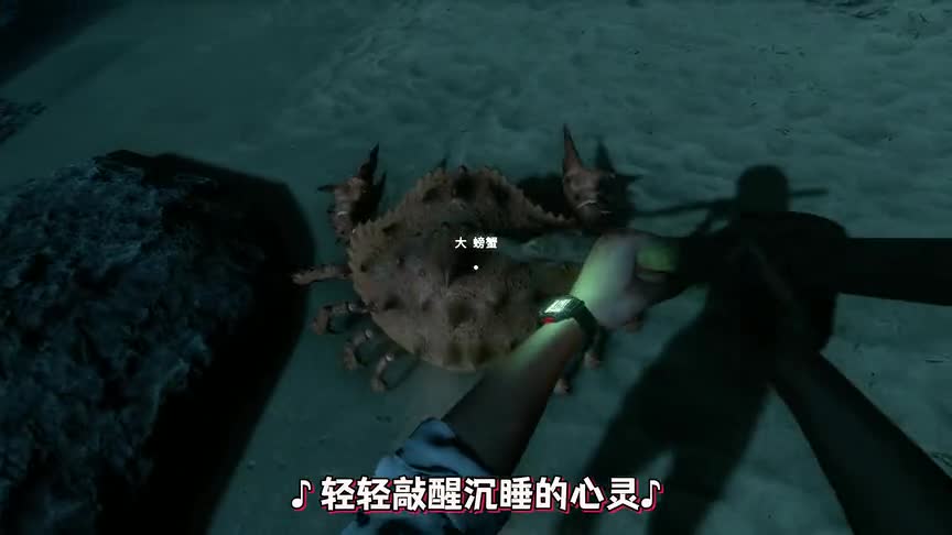 荒岛求生02：我给自己盖了座海边别墅，从此告别在荒岛上风餐露宿