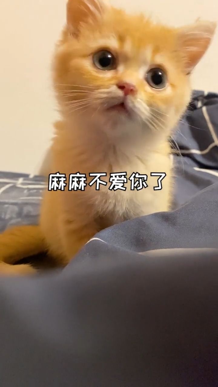 对不起，麻麻以后再也不对你开这种玩笑了