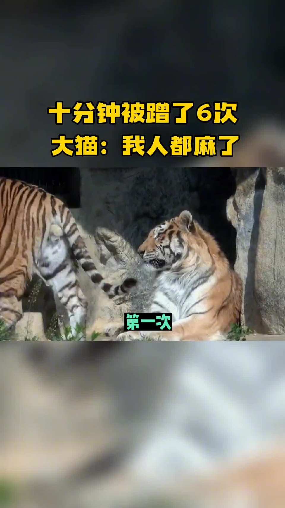 大猫：你个老六你在我这儿打卡呢？