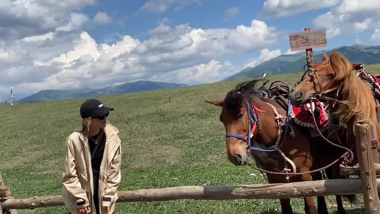 向大家介绍一下我蹦野迪认识的兄弟哈哈哈哈哈哈啊哈哈哈 