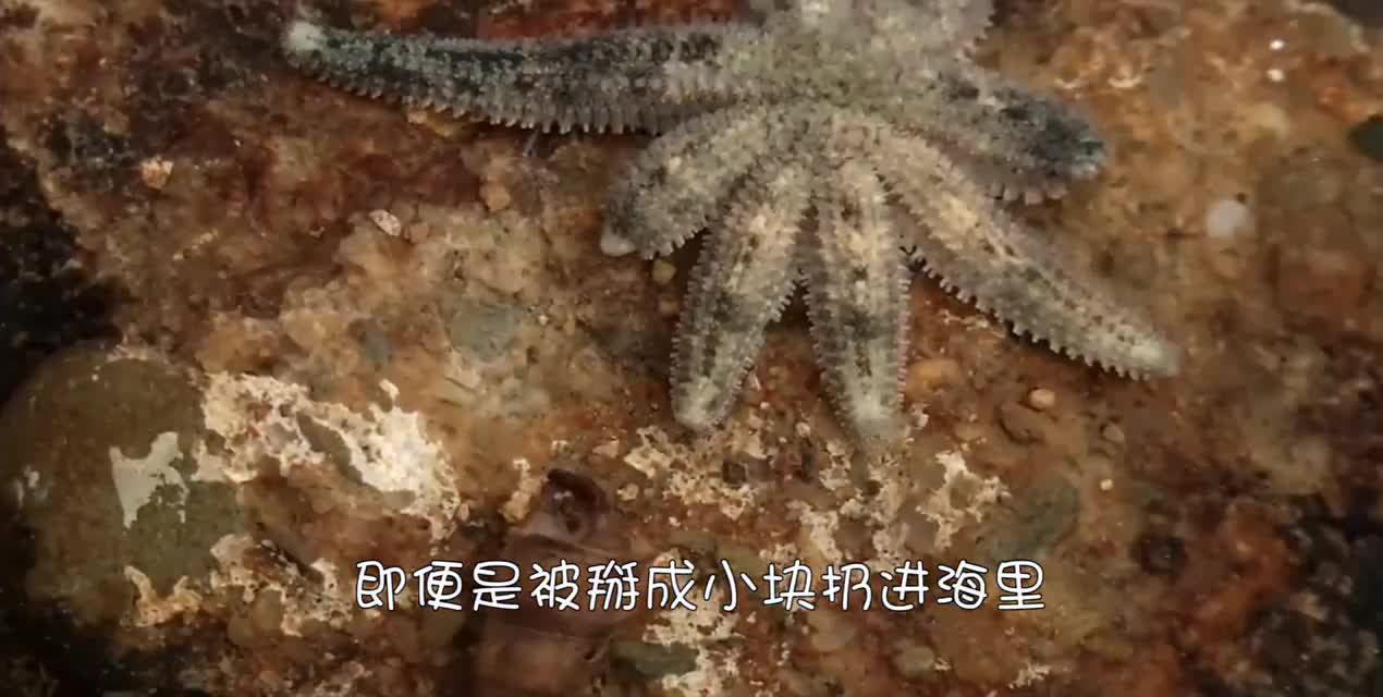 竟然还能“逆生长”，这技能堪称爷青回！
