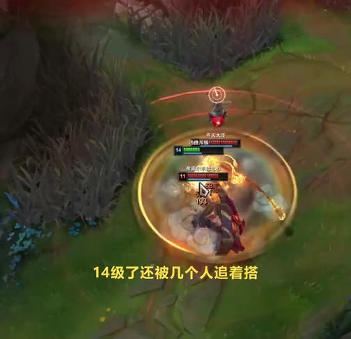 为了一只小龙，提莫扛下了所有