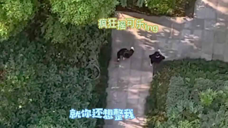 暴走的小药：有人知道这是怎么回事吗？