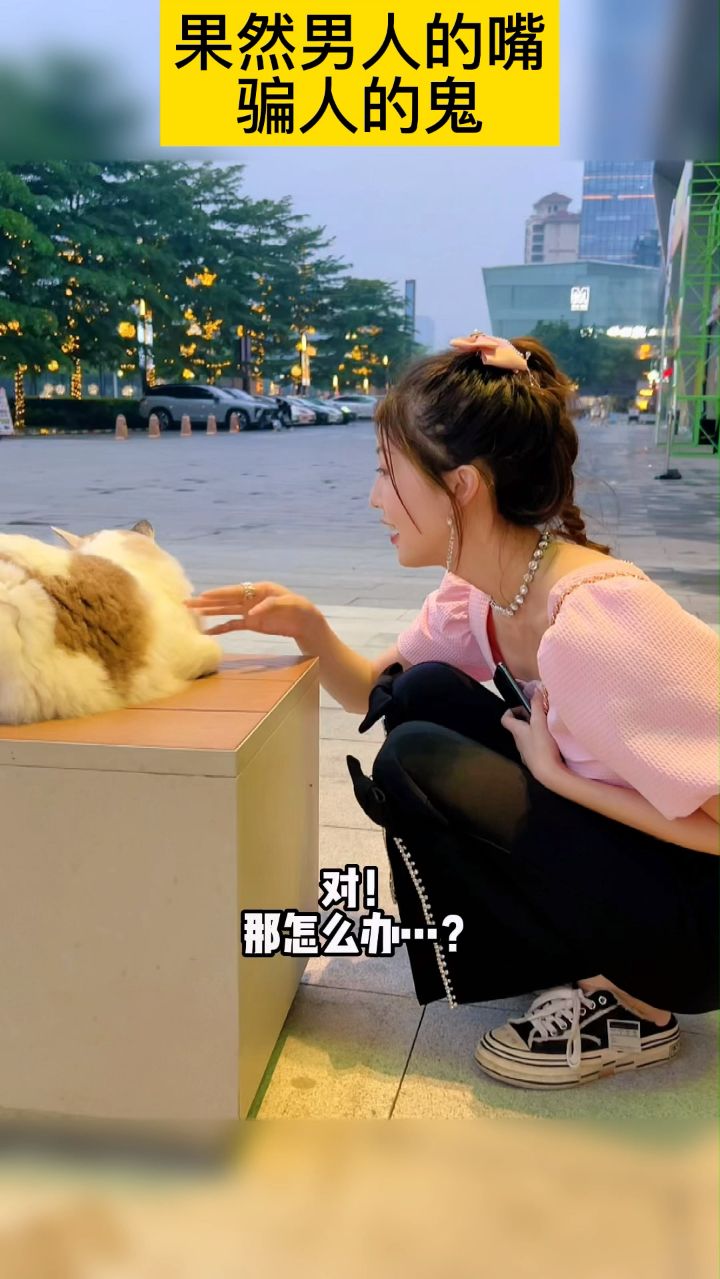 为了摸一下猫，小姐姐信了男生的鬼话，这手真是白牵了