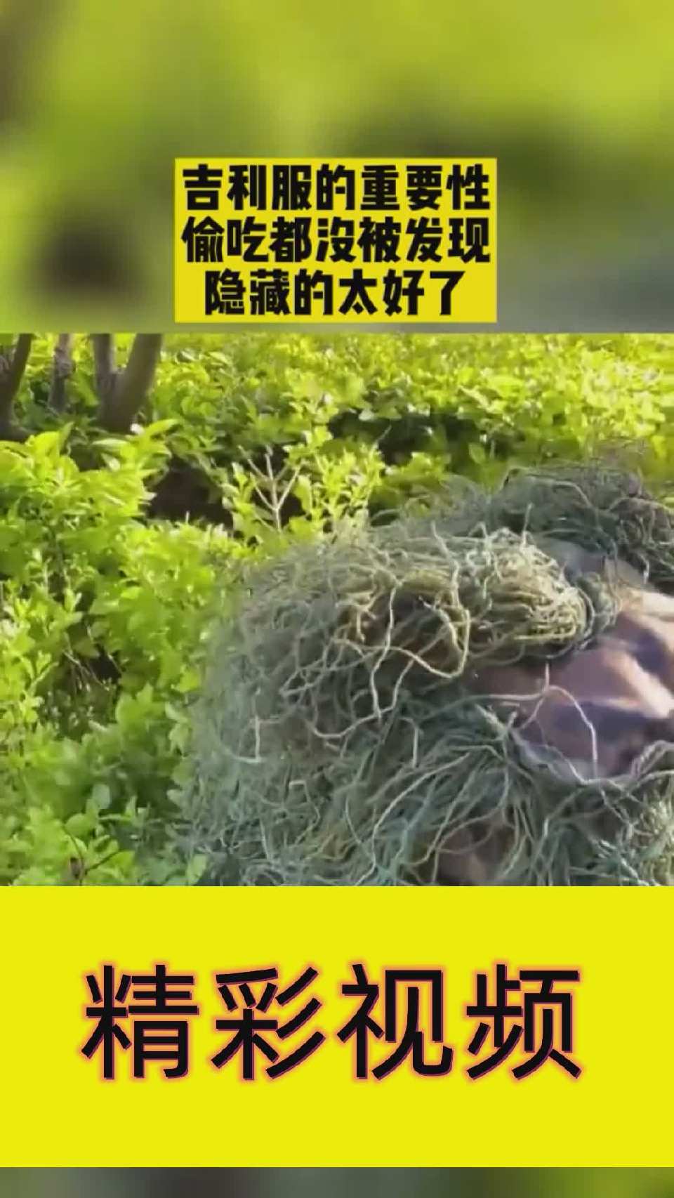 吉利服的重要性，偷吃都没被发现，隐藏的太好了