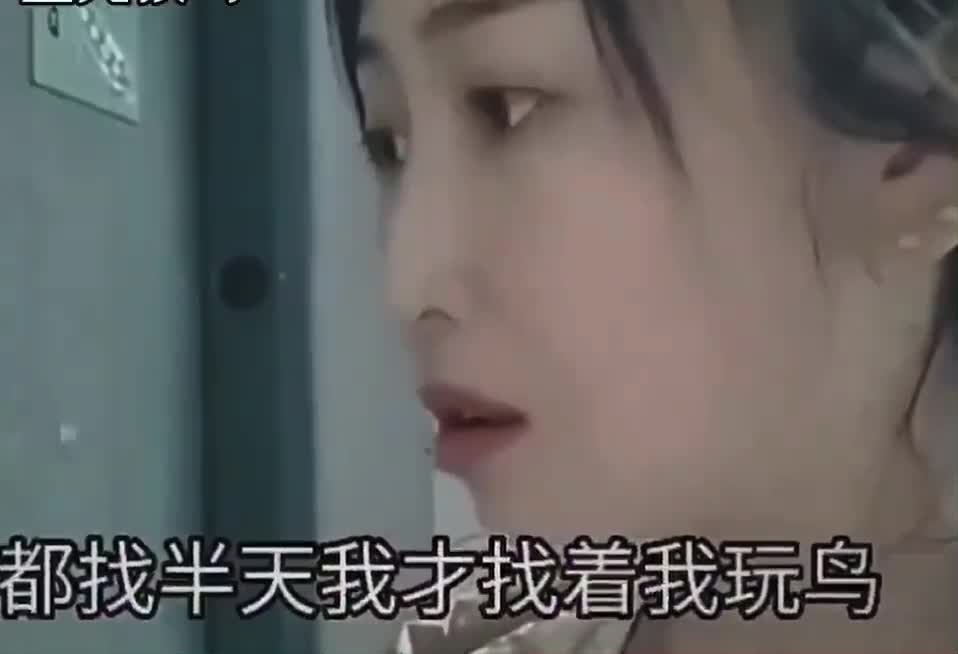 我的名字叫玩我鸟