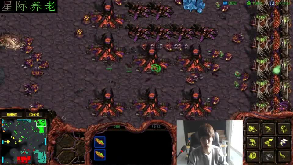 星际争霸宏图勇哥奋力输出