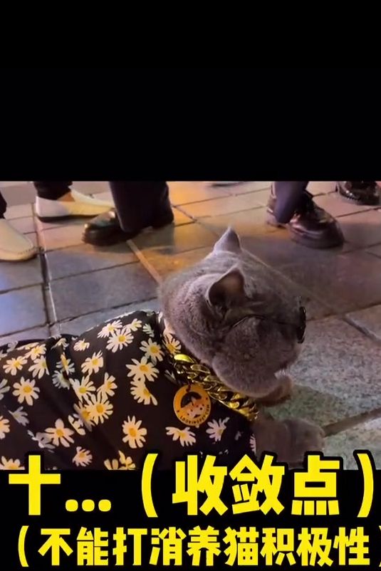 我都帮你解释三年了……
